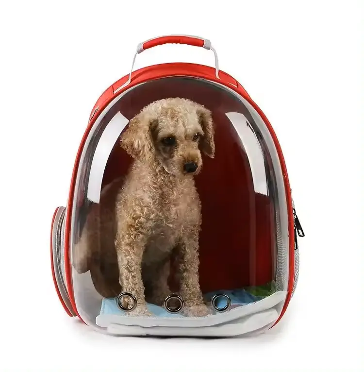 Transparent Capsule Pet Backpack Carrier Bag